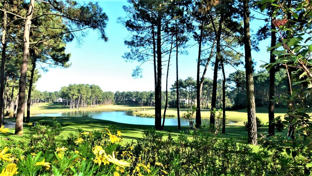 Villa Birdies Nest Photo