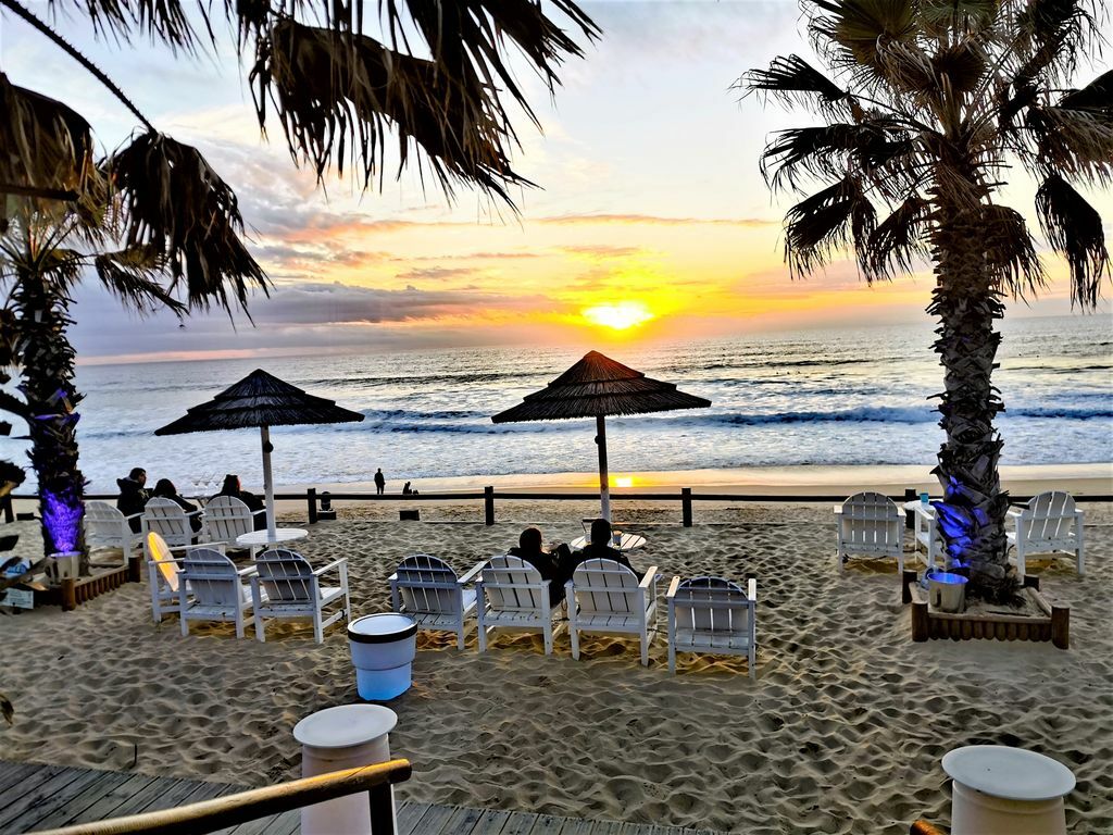 Villa Birdies Nest Photo