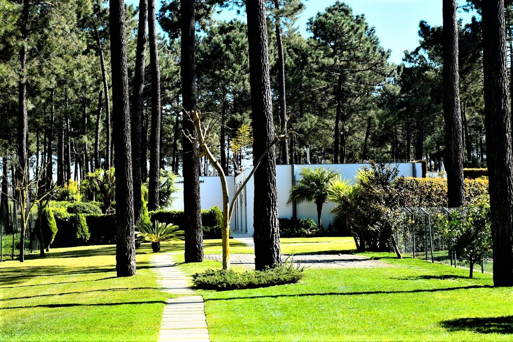 Villa Forest Fairways Photo