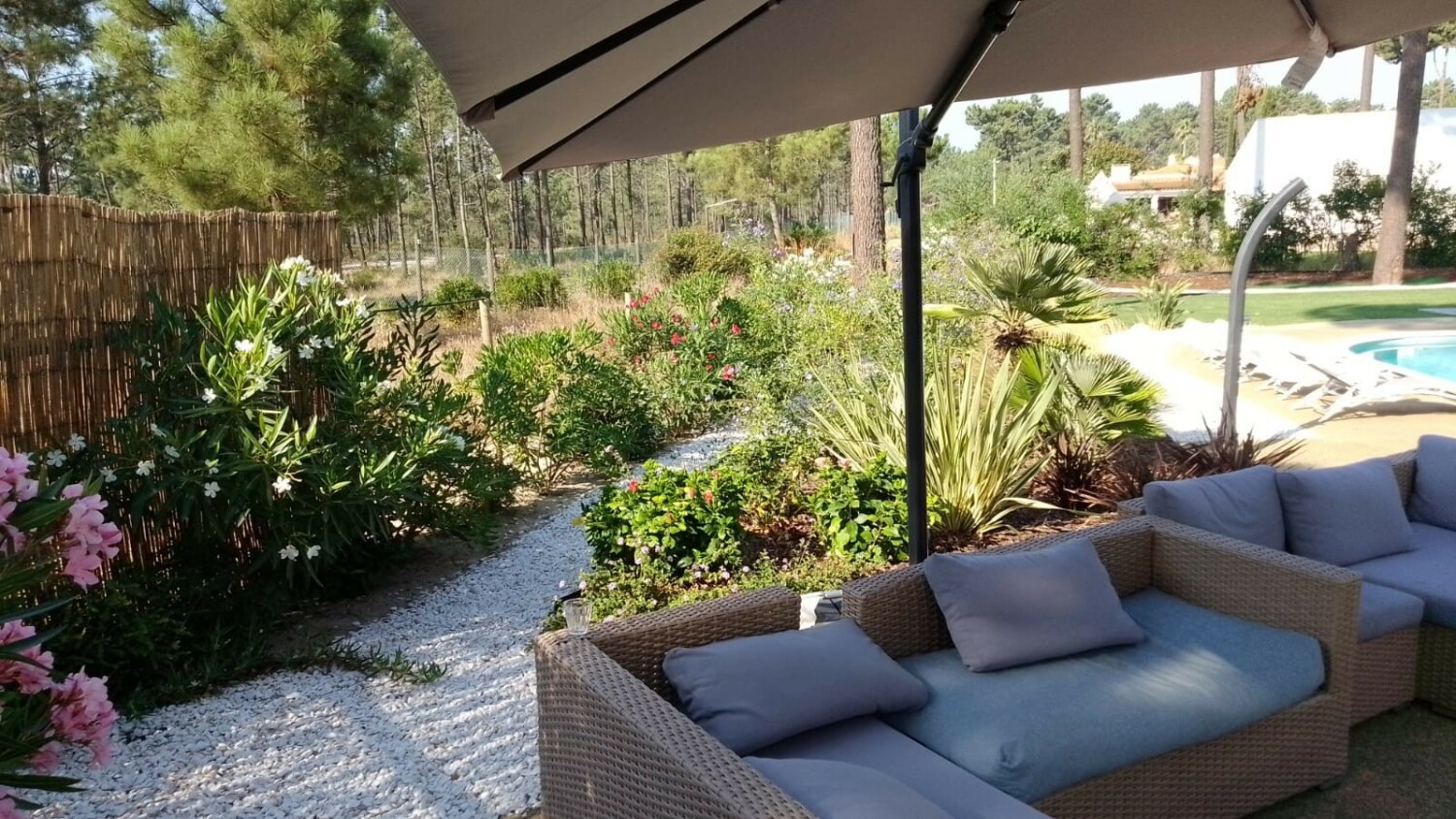 Villa Ypsilon Eagles Photo